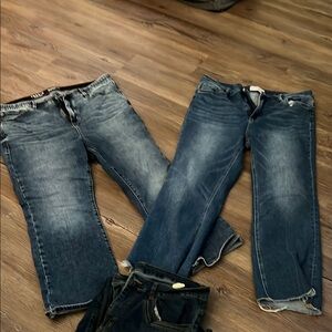 Torrid Blue Straight Leg Jeans with Classic Style